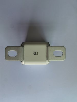 AC2000V/1min EV Fahrzeugschutz 30A - 450A mit > 3000h Lebensdauer