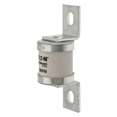 Eaton-Bussmann-Serie Hochgeschwindigkeits-Britsche Standard BS88 Sicherung 250FM