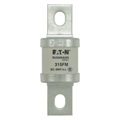 Eaton Bussmann-Serie Hochgeschwindigkeits-Brücke BS88 315FM